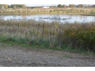 Property photo 28 - 127 Acres Offered in 8 Tracts - Allen & Dekalb County Land